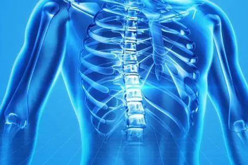 Chiropraktik:: Chiropraktik Heilpraktiker in Achterwehr